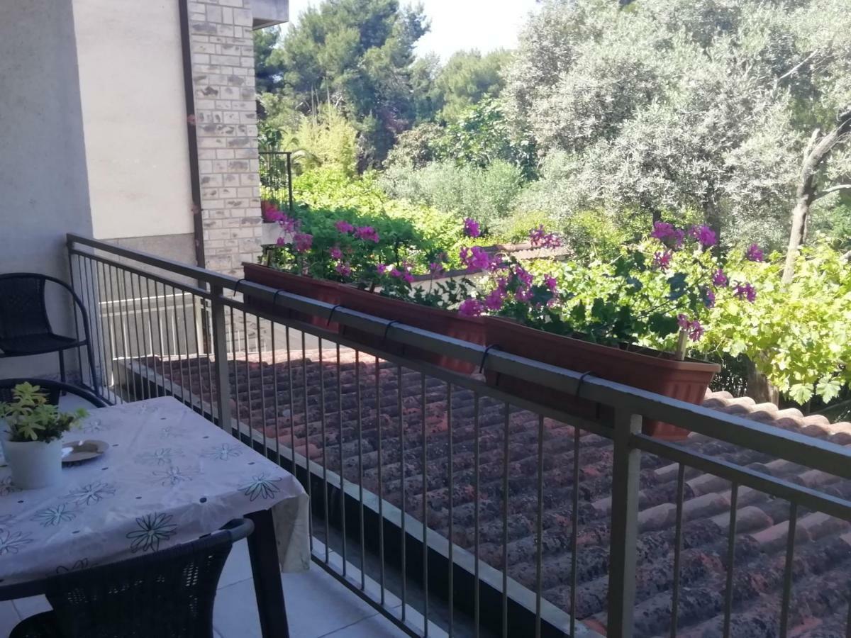Apartments Jadranka Ivana Pula Zewnętrze zdjęcie